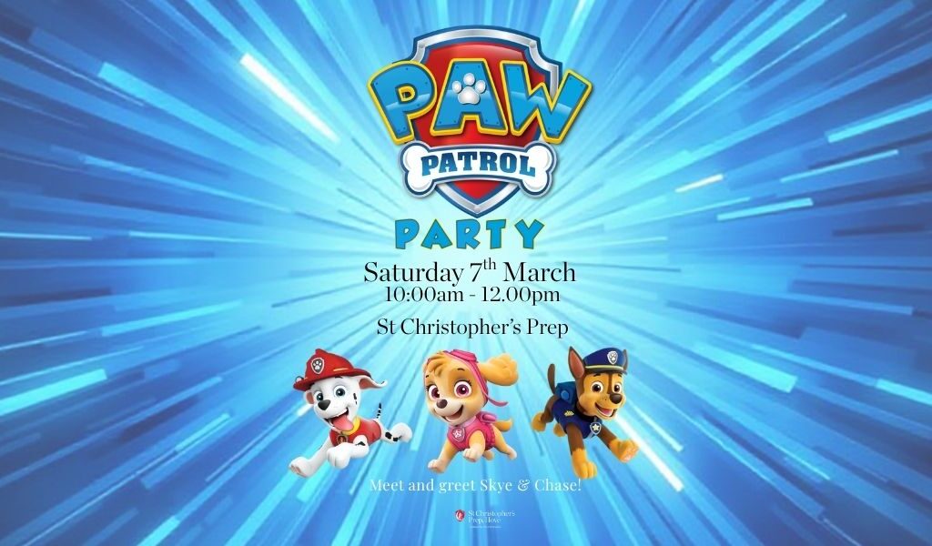 paw patrol party